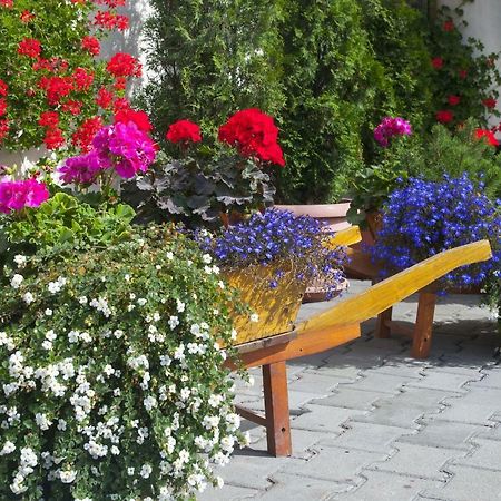 Hotel Cosmos Câmpulung Moldovenesc Εξωτερικό φωτογραφία