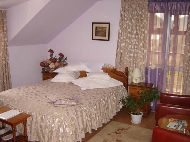 Hotel Cosmos Câmpulung Moldovenesc Δωμάτιο φωτογραφία